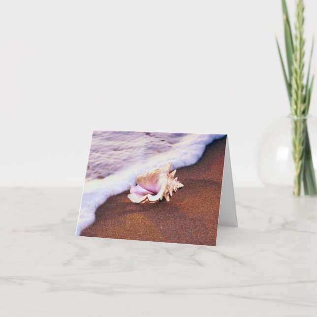 Fäst Snäcka på Beach Note Card Kort (Framsida)