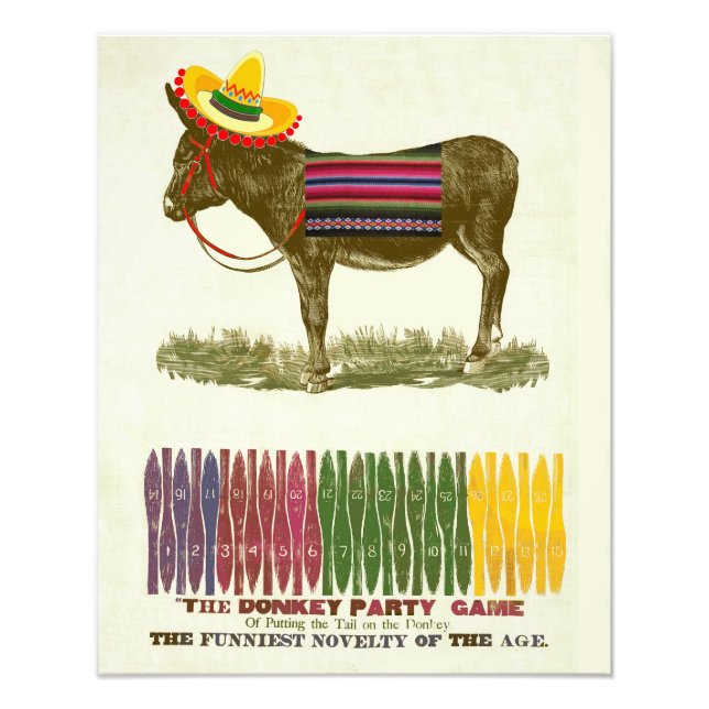 Fäst svan på Donkey Fototryck (Framsidan)