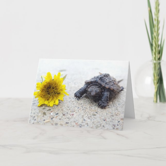 Fäst turtle och dandelion greeting Card Kort (Framsida)