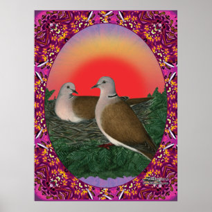 Fästade duvor poster