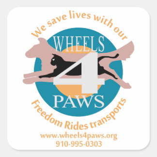 Fästare-Asst-former och storlekar Fyrkantigt Klistermärke