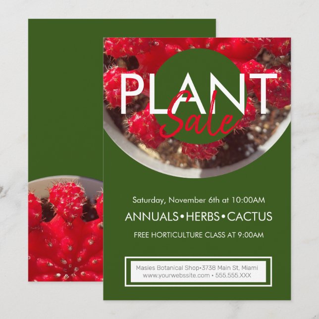 Fastighetsåterförsäljningskaktus - kampanjutlösare inbjudningar (Fram/baksida)