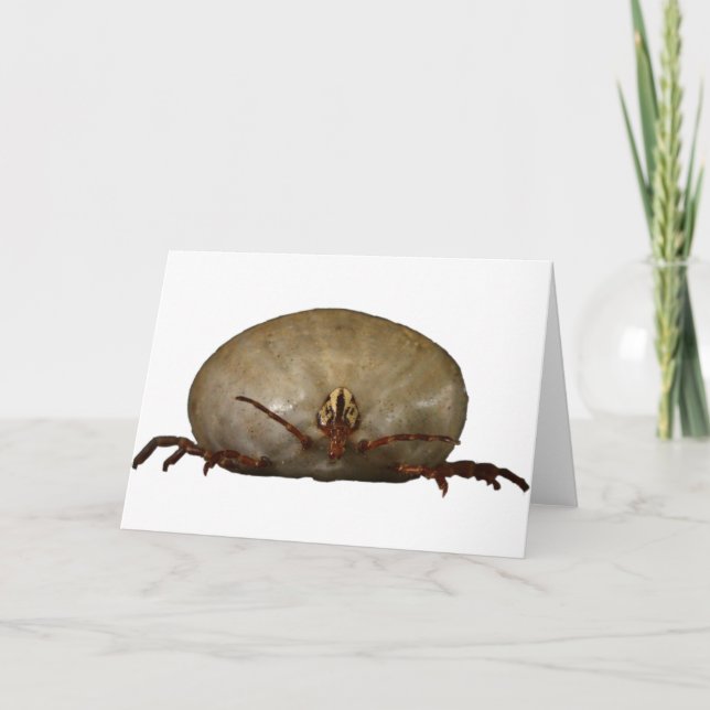 Fästingen Kort (Framsida)