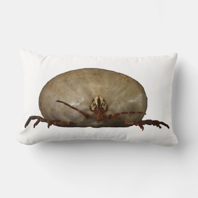 Fästingen Lumbarkudde (Framsida)