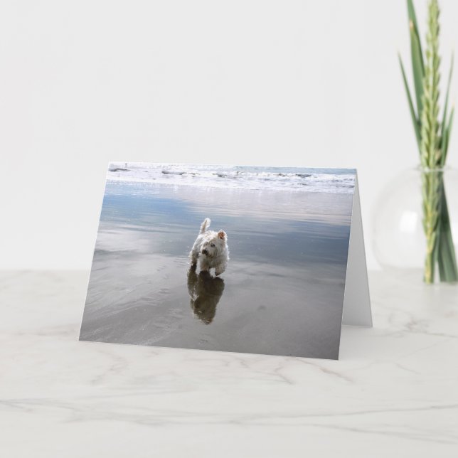 Fästingkort för reflektion av persikobild tack kort (Framsida)
