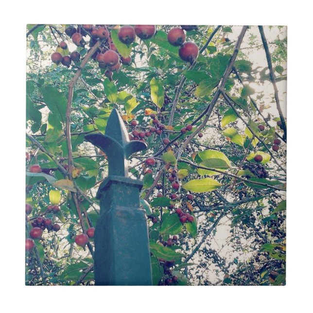 Fästinlägg Kakelplatta (Framsidan)