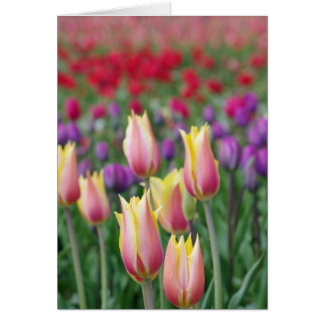 Fästning Hälsningskort