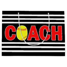 Fastpitch Softball Coach Anpassningsbar Team Färg