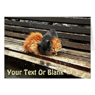 Fästpunkter Hälsningskort