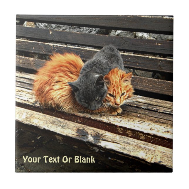 Fästpunkter Kakelplatta (Framsidan)