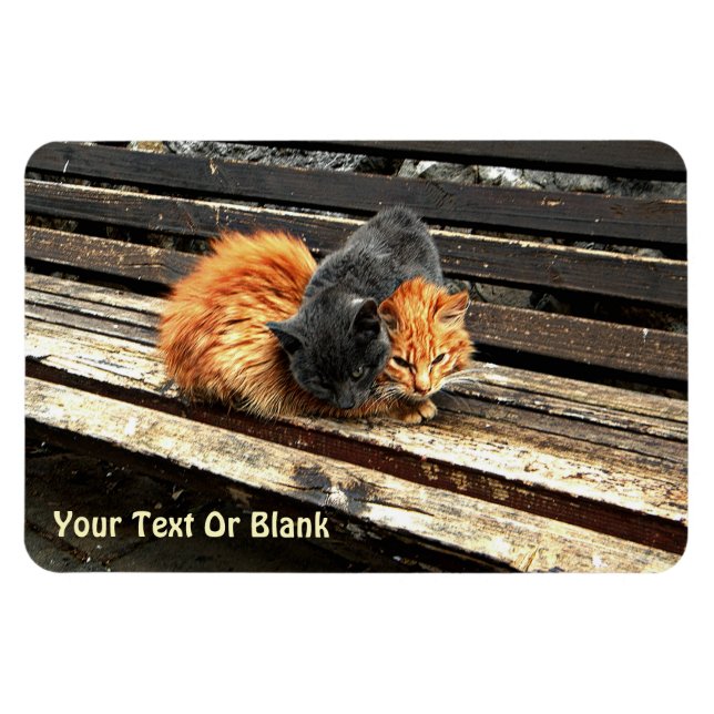 Fästpunkter Magnet (Horisontell)