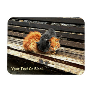 Fästpunkter Magnet