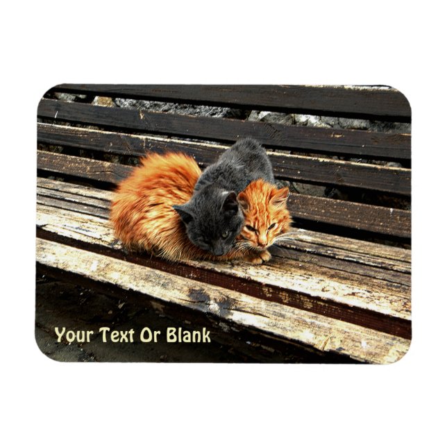 Fästpunkter Magnet (Horisontell)