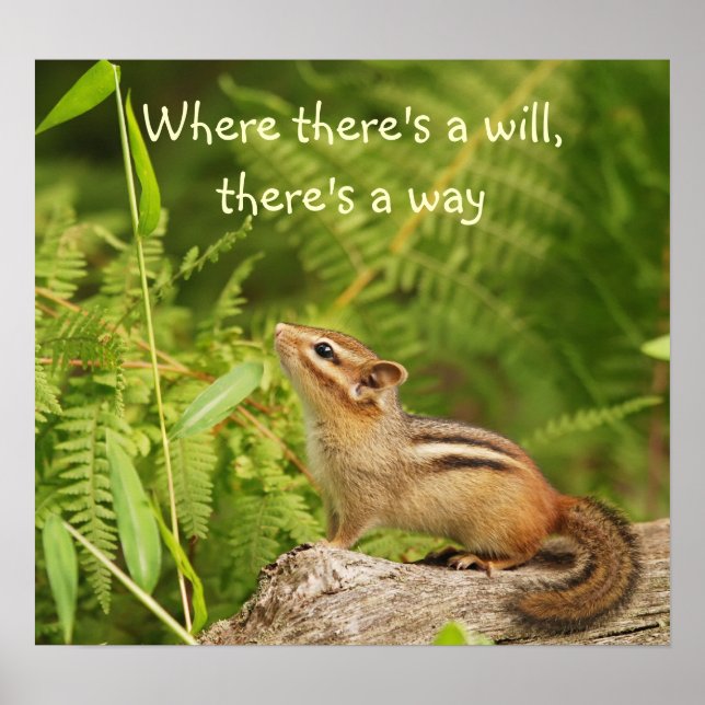 Fastställd Poster för Baby Chipmunk (Framsidan)