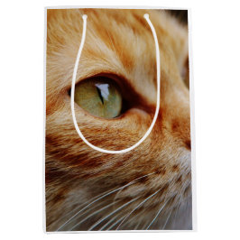 Fastställt Ansikte för en Ginger Cat