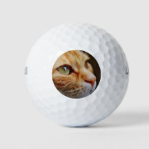 Fastställt Ansikte för en Ginger Cat