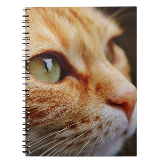 Fastställt Ansikte för en Ginger Cat Anteckningsbok (Framsidan)