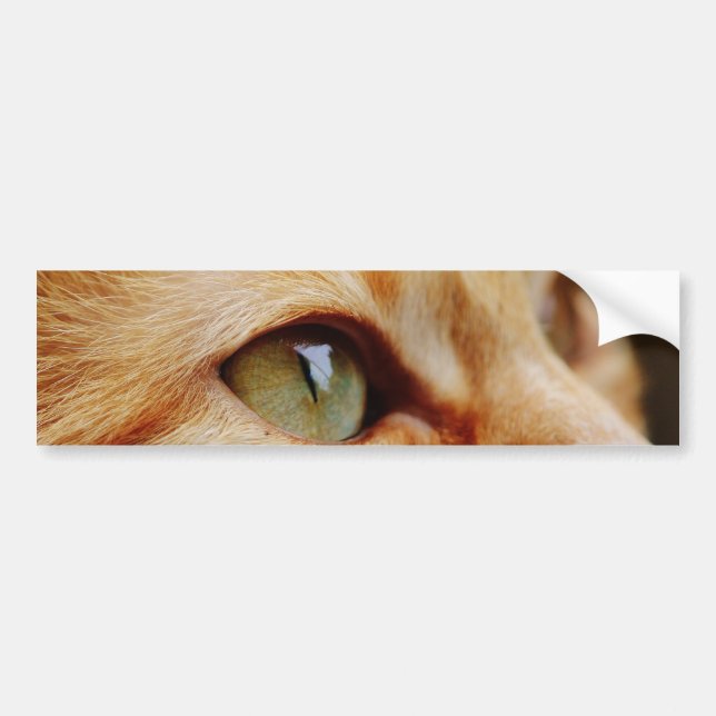 Fastställt Ansikte för en Ginger Cat Bildekal (Framsidan)