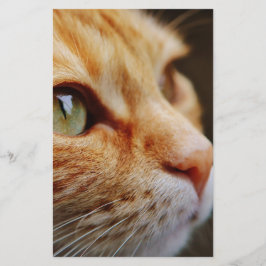 Fastställt Ansikte för en Ginger Cat Brevpapper