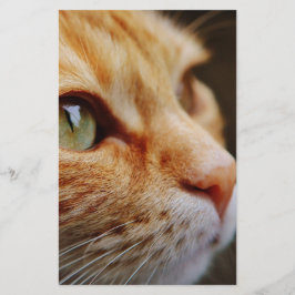 Fastställt Ansikte för en Ginger Cat Brevpapper