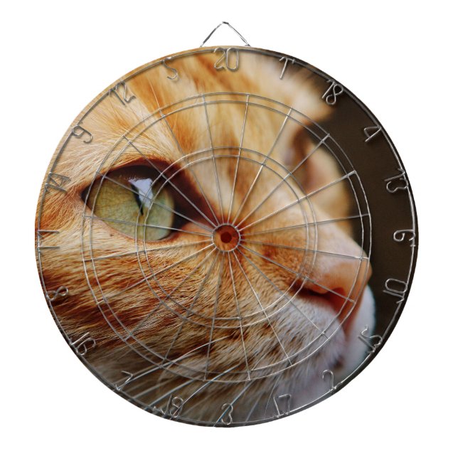 Fastställt Ansikte för en Ginger Cat Darttavla (Framsidan)