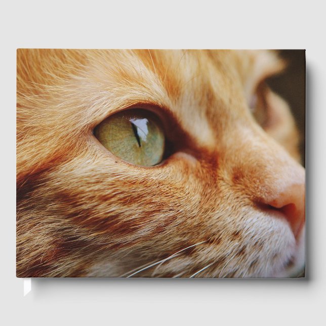 Fastställt Ansikte för en Ginger Cat Gästböcker (Framsida)