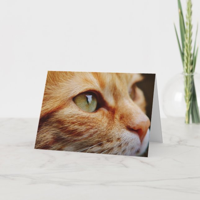 Fastställt Ansikte för en Ginger Cat Kort (Framsida)