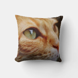 Fastställt Ansikte för en Ginger Cat Kudde