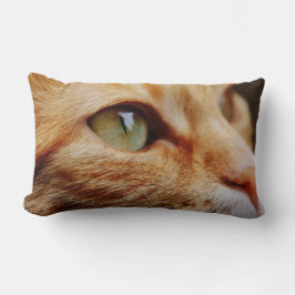 Fastställt Ansikte för en Ginger Cat Lumbarkudde