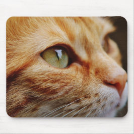 Fastställt Ansikte för en Ginger Cat Musmatta
