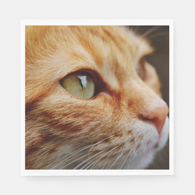 Fastställt Ansikte för en Ginger Cat Pappersservett (Framsidan)