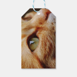 Fastställt Ansikte för en Ginger Cat Presentetikett