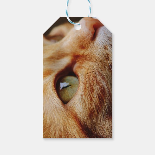 Fastställt Ansikte för en Ginger Cat Presentetikett (Framsidan)