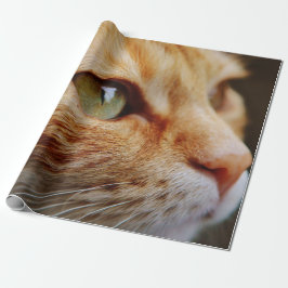 Fastställt Ansikte för en Ginger Cat Presentpapper
