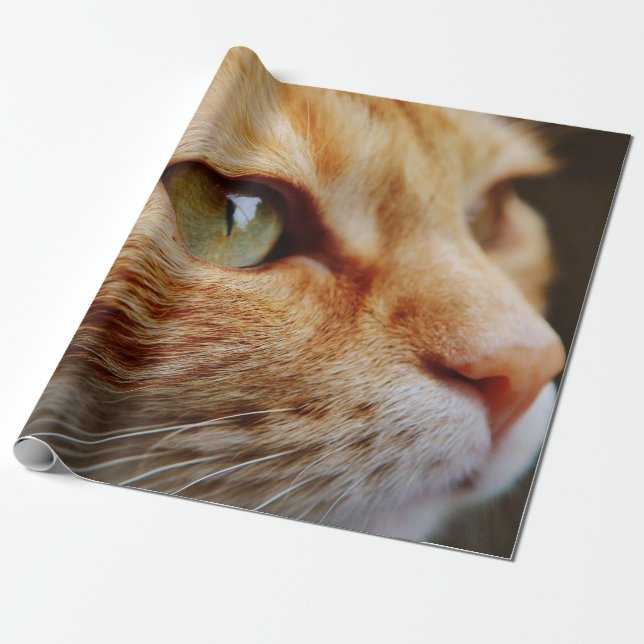 Fastställt Ansikte för en Ginger Cat Presentpapper (Utrullad)