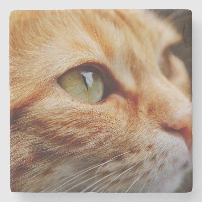 Fastställt Ansikte för en Ginger Cat Stenunderlägg (Framsidan)