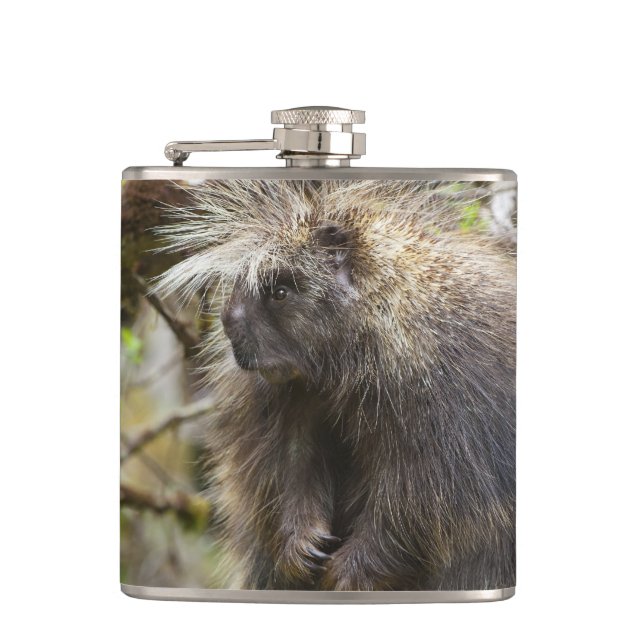 Fastställt porcupin fickplunta (Framsidan)