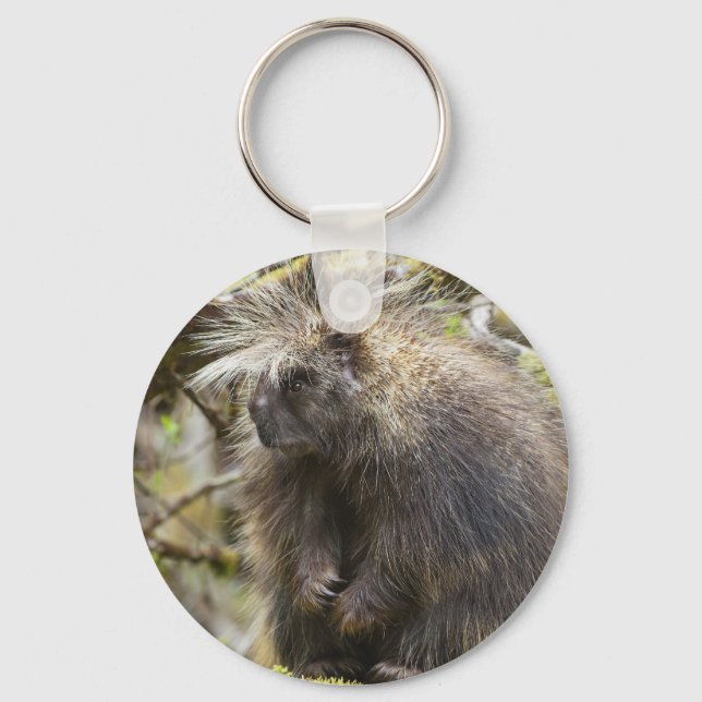Fastställt porcupin nyckelring (Framsida)
