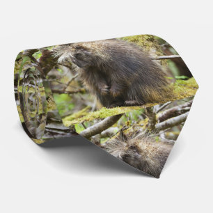 Fastställt porcupin slips
