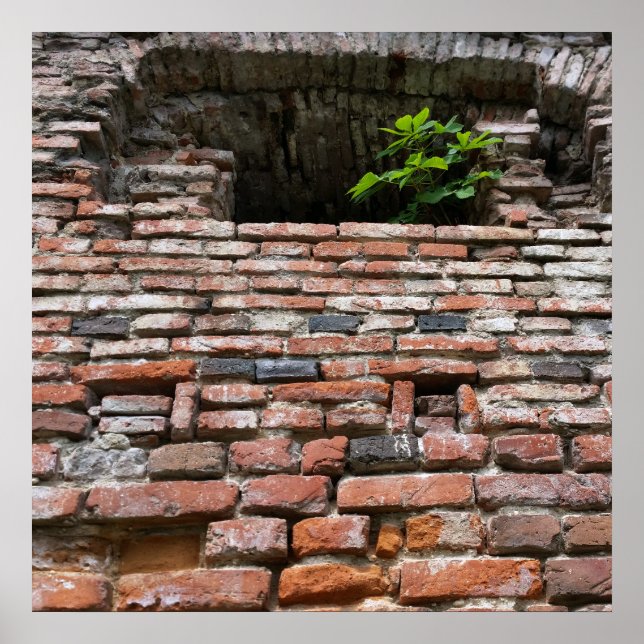 Fästväggsfönster Poster (Framsidan)