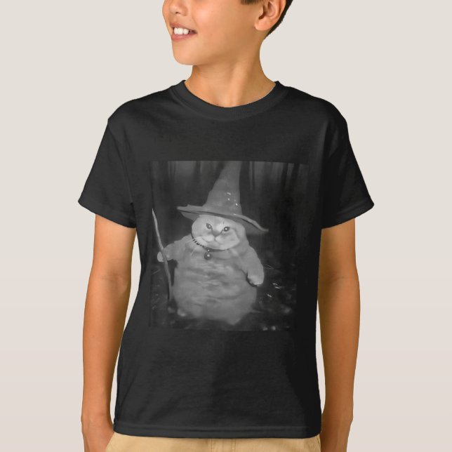 Fat Wizard Cat Fat Kitten Wizard Funny Cat Meme Br T Shirt (Framsida)