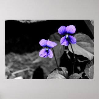 Fatal Violet Poster
