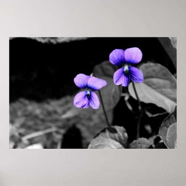 Fatal Violet Poster (Framsidan)