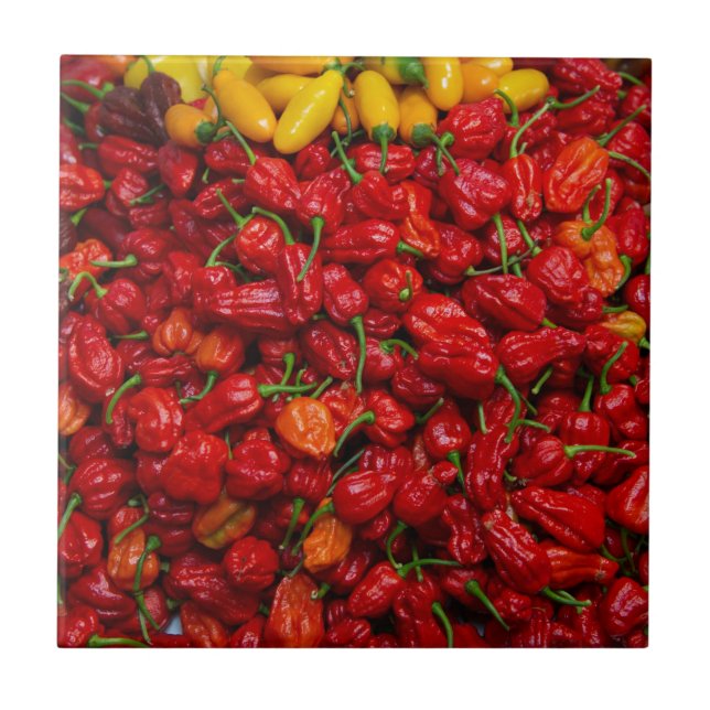 Fataliis Chile peppar 2 Kakelplatta (Framsidan)