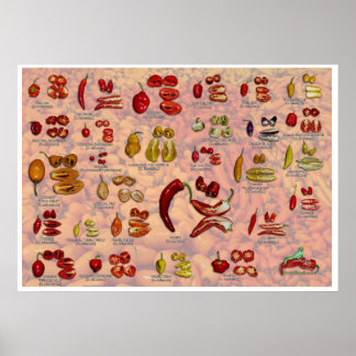 Fataliis Split Chiles paprika! Poster