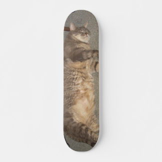 FatCat Board Skateboard Bräda 21,5 Cm
