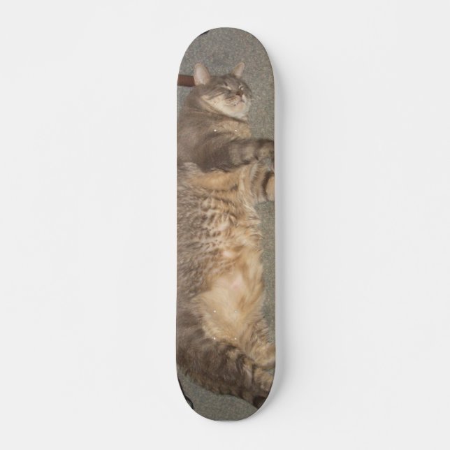 FatCat Board Skateboard Bräda 21,5 Cm (Framsida)