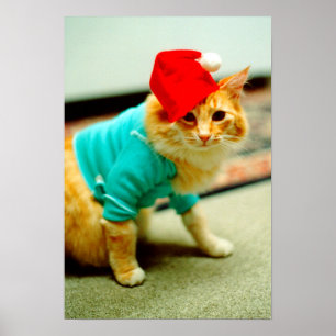 Fatso, Original Tangentbord Cat 1984 Poster