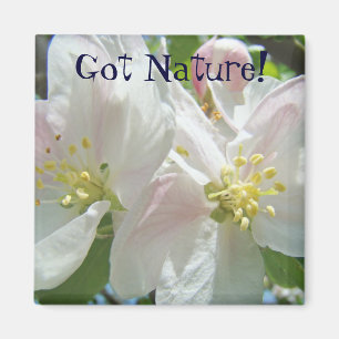 Fått naturen! magnet Rosa äppelblomster