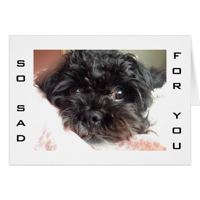 FATTIG HUND ÄR SÅ LEDSEN U R TURNING 40 HÄLSNINGSKORT (Framsidan Horizontal)